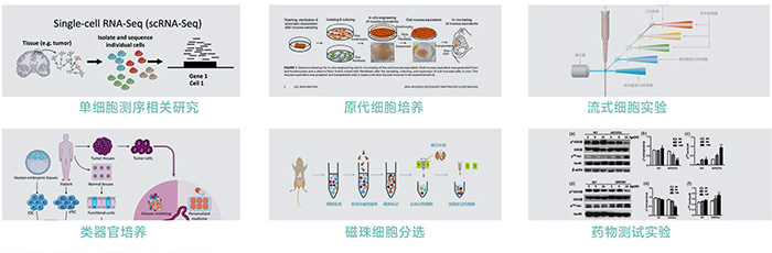 JX-CKSW系列產(chǎn)品應用-700 JX-CKSW系列產(chǎn)品應用-700