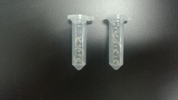 研磨指甲提取核酸實(shí)驗(yàn)